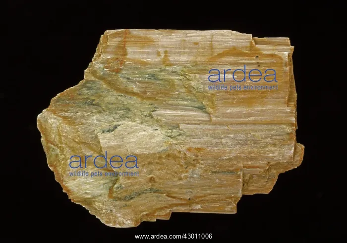 : Amphibole Anthophyllite variety ((Mg, Fe)7Si8O22(OH)2) : Amphibole Anthophyllite variety ((Mg, Fe)7Si8O22(OH)2)