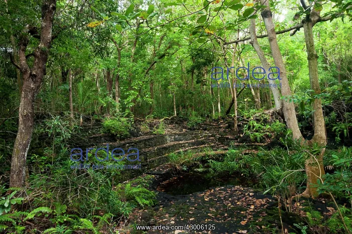 : Amphitheatre-like structure built of black basalt : Amphitheatre-like structure built of black basalt