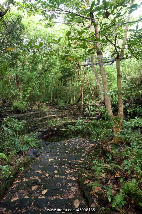: Amphitheatre-like structure built of black basalt : Amphitheatre-like structure built of black basalt