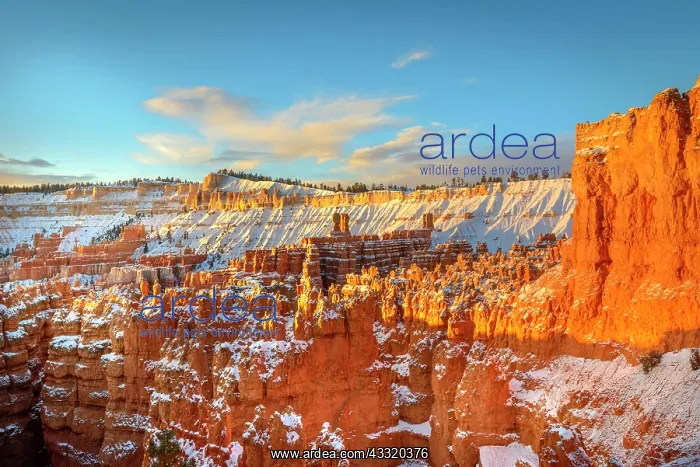 : Amphitheatre in the morning light, snow-covered : Amphitheatre in the morning light, snow-covered