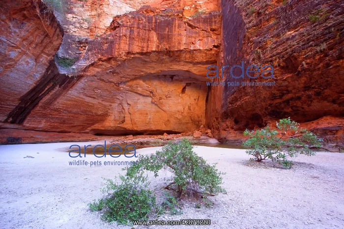 : Amphitheatre - striking amphitheatre in Cathedral : Amphitheatre - striking amphitheatre in Cathedral