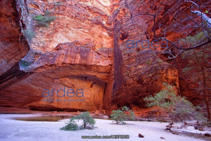 : Amphitheatre - striking amphitheatre in Cathedral : Amphitheatre - striking amphitheatre in Cathedral