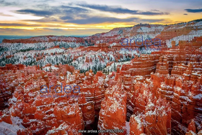 : Amphitheatre at sunrise, snow-covered bizarre rocky : Amphitheatre at sunrise, snow-covered bizarre rocky