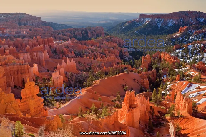 : Amphitheatre - view from the rim trail over the : Amphitheatre - view from the rim trail over the