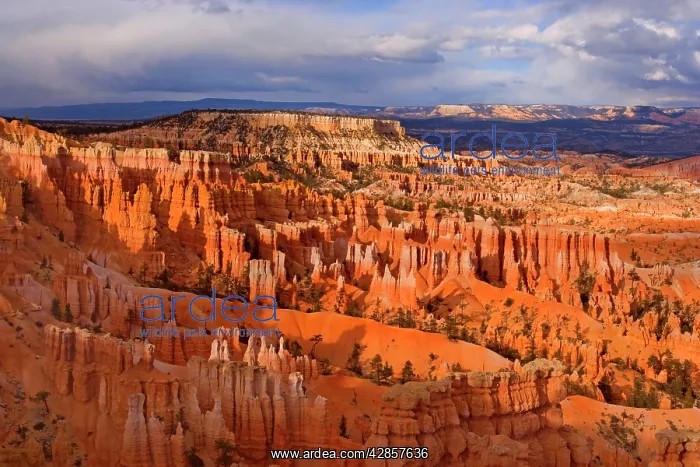 : Amphitheatre - view from Sunset Point over the : Amphitheatre - view from Sunset Point over the