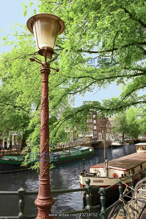 : Amsterdam, Holland, Old gas lamp post and : Amsterdam, Holland, Old gas lamp post and