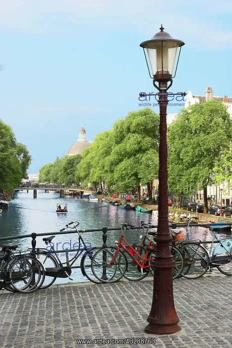 : Amsterdam, Holland, Old gas lamp post and : Amsterdam, Holland, Old gas lamp post and