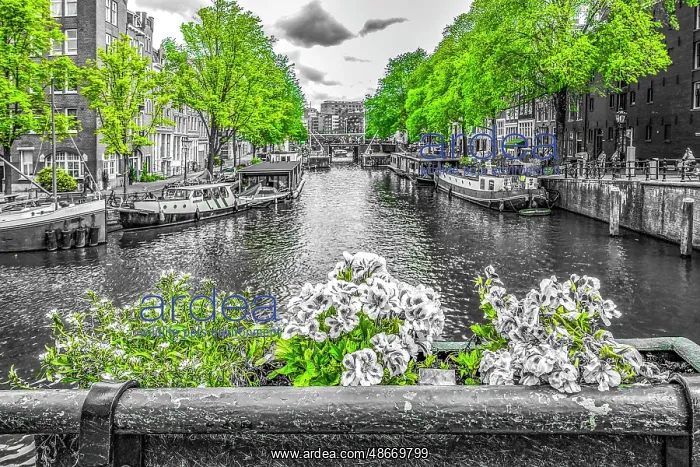 : Amsterdam, Netherlands. Colorized black and white view of : Amsterdam, Netherlands. Colorized black and white view of