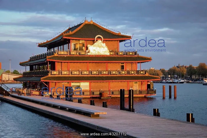 : AMSTERDAM, NETHERLANDS, MAY 9, 2017: Sea Palace : AMSTERDAM, NETHERLANDS, MAY 9, 2017: Sea Palace