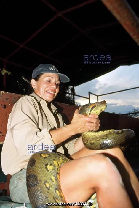  : ANACONDA - HELD BY MARIA MUNOZ
