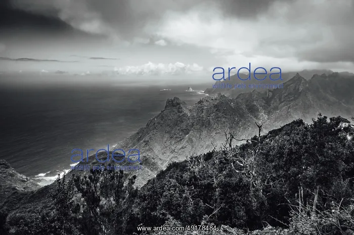 : Anaga mountains aerial view, Tenerife : Anaga mountains aerial view, Tenerife