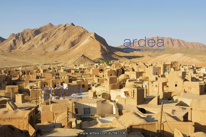  : Anarak, Iran