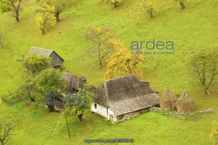 : Ancient farm in a beautiful pastoral montane landscape : Ancient farm in a beautiful pastoral montane landscape