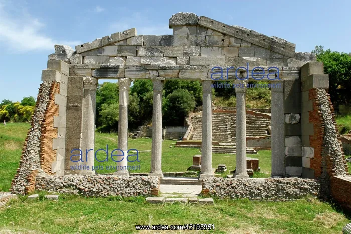  : Ancient Greek archeological excavation of Apollonia
