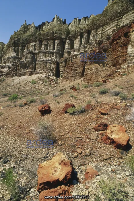 : Ancient Lake Sediments : Ancient Lake Sediments