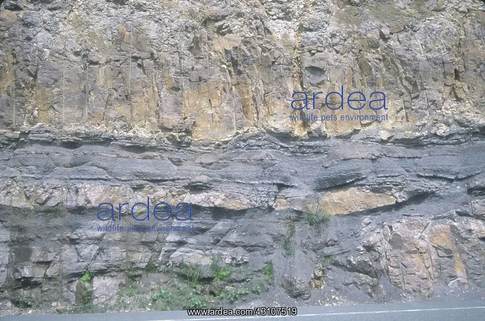 : Ancient Lava Flows : Ancient Lava Flows
