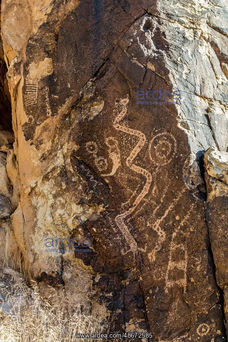 : Ancient petroglyphs seen at Parowan Gap : Ancient petroglyphs seen at Parowan Gap