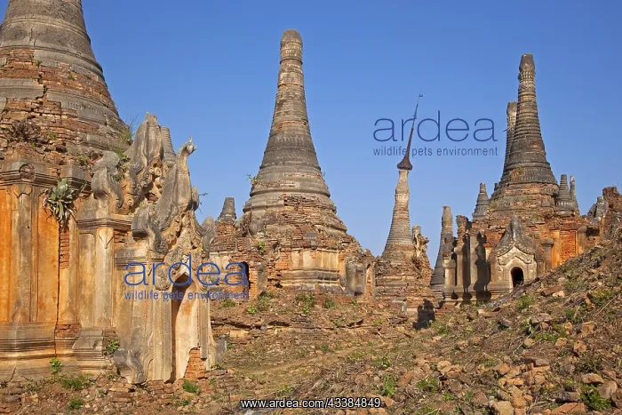: Ancient red brick Buddhist stupas near the village I : Ancient red brick Buddhist stupas near the village I