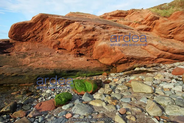 : Ancient Rocks - at the shore of Gros Morne National Park : Ancient Rocks - at the shore of Gros Morne National Park