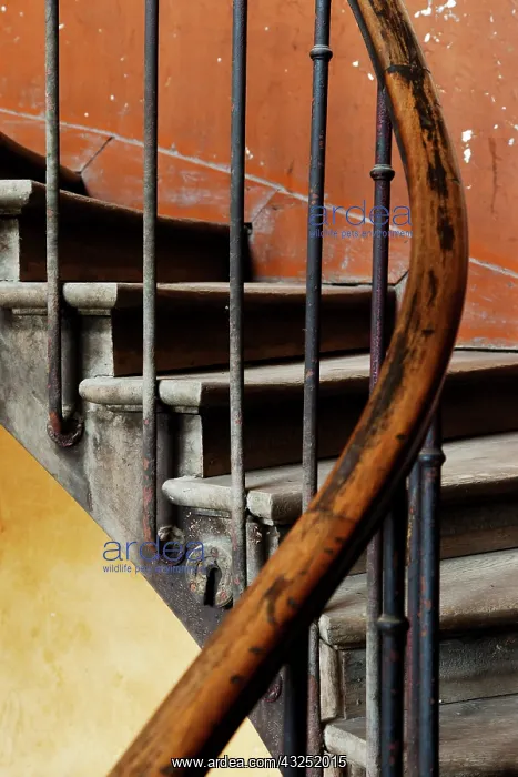 : Ancient staircase in building near Rue de : Ancient staircase in building near Rue de
