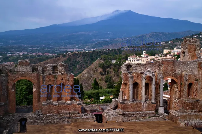 : Ancient theatre, Teatro Greco, behind volcano Etna : Ancient theatre, Teatro Greco, behind volcano Etna
