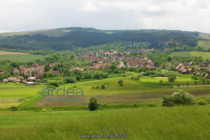 : The ancient traditional village of Viscri in Saxon : The ancient traditional village of Viscri in Saxon
