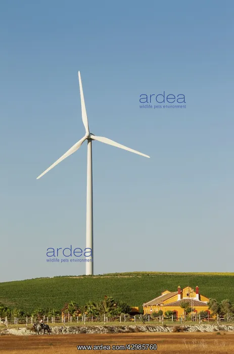 : Andalusian Country Estate - with a windmill of : Andalusian Country Estate - with a windmill of