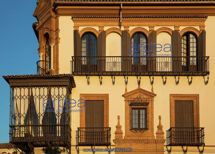 : Andalusian style residence - in the evening light : Andalusian style residence - in the evening light