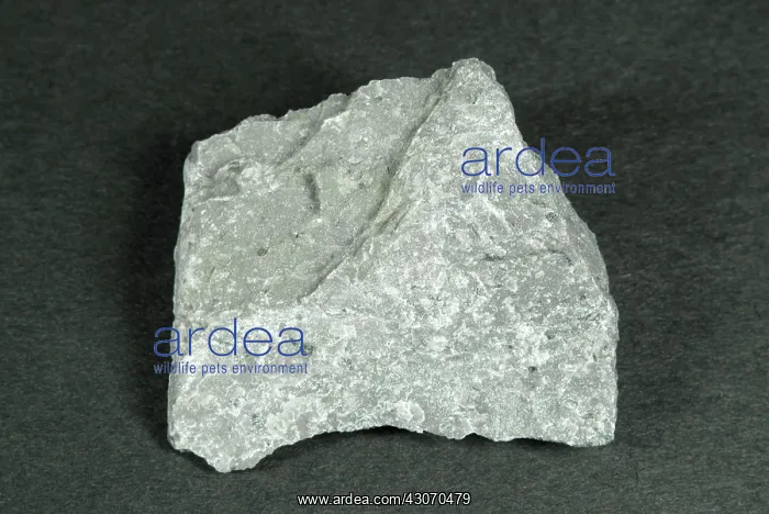 : Andesite is an igneous rock consisting of plagioclase feldspar : Andesite is an igneous rock consisting of plagioclase feldspar