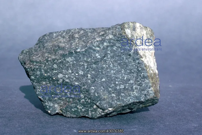 : Andesite, an igneous rock, from Port Macquarie, New South Wales, Australia : Andesite, an igneous rock, from Port Macquarie, New South Wales, Australia