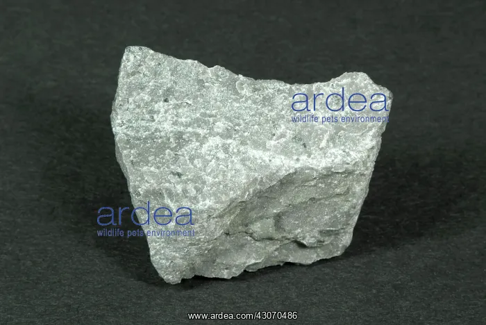: Andesite, an extrusive igneous rock : Andesite, an extrusive igneous rock