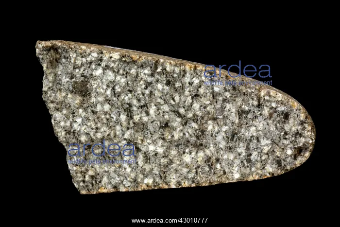  : Andesite Porphyry