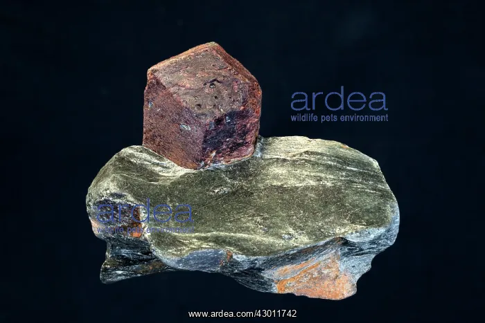  : Andradite Garnet