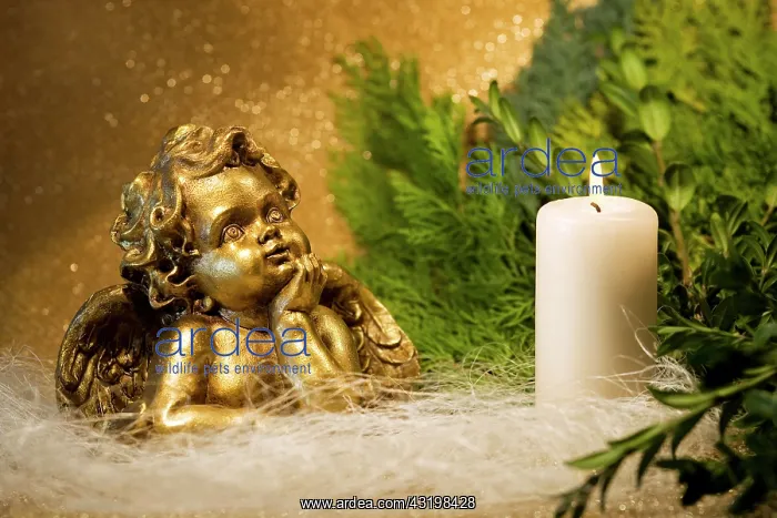 : Angel and a burning white candle Engel mit einer : Angel and a burning white candle Engel mit einer