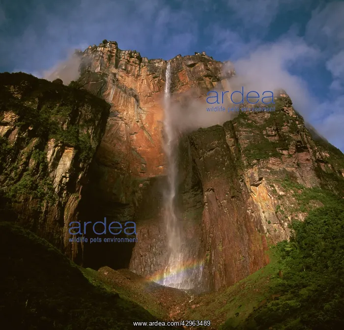 : Angel Falls and Mount Auyantepui (Auyantepuy, Devil's : Angel Falls and Mount Auyantepui (Auyantepuy, Devil's