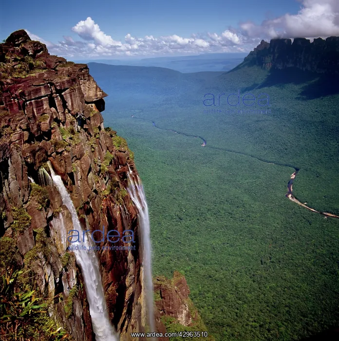 : Angel Falls and Mount Auyantepui (Auyantepuy, Devil's : Angel Falls and Mount Auyantepui (Auyantepuy, Devil's