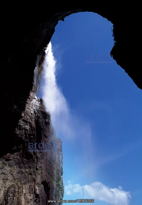 : Angel Falls (view from base of), Churun Gorge : Angel Falls (view from base of), Churun Gorge