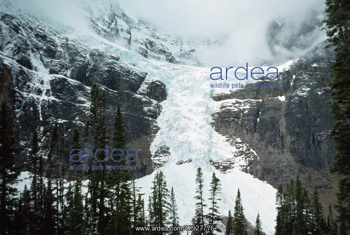 : ANGEL GLACIER -showing icefall / snowfall from cirque : ANGEL GLACIER -showing icefall / snowfall from cirque