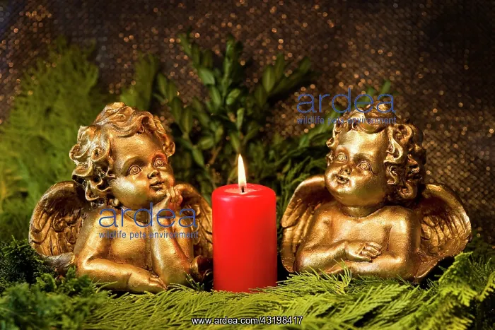 : Angels and a burning red candle Engel mit einer : Angels and a burning red candle Engel mit einer