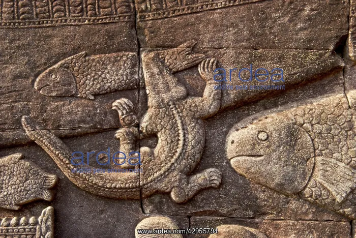 : Angkor Bayon bas-reliefs Fish and crocodile : Angkor Bayon bas-reliefs Fish and crocodile