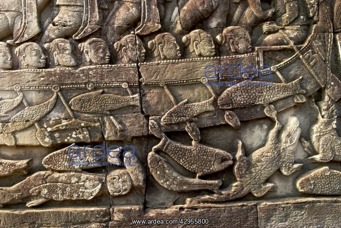 : Angkor Bayon bas-reliefs Fish and crocodile cham warship : Angkor Bayon bas-reliefs Fish and crocodile cham warship