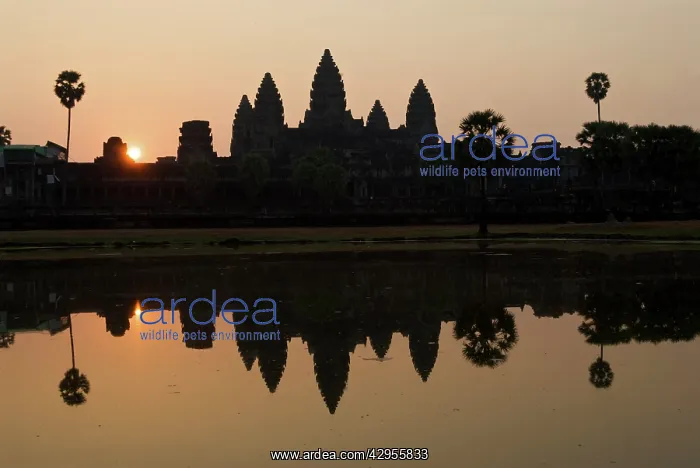 : Angkor Wat sunrise reflected : Angkor Wat sunrise reflected