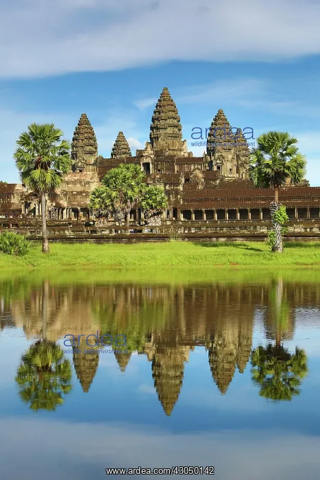 : Angkor Wat Temple and reflection in lake in Siem Reap, C : Angkor Wat Temple and reflection in lake in Siem Reap, C