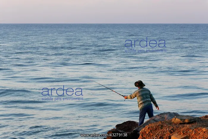  : Angler, Anamur, Mersin Province, Turkish Riviera