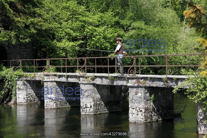 : Angler on a bridge, River Cong, Cong, County Mayo : Angler on a bridge, River Cong, Cong, County Mayo