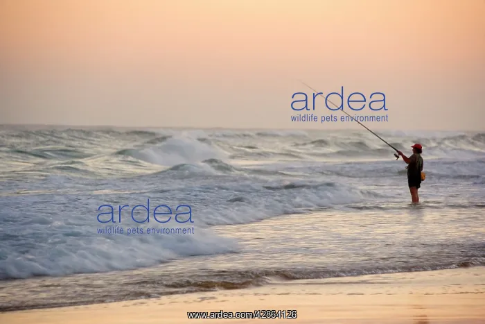 : Angler / Fisherman - stood in the ocean trying : Angler / Fisherman - stood in the ocean trying