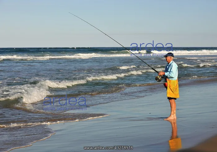 : Angler, Main Beach, Surfers Paradise, Gold Coast : Angler, Main Beach, Surfers Paradise, Gold Coast