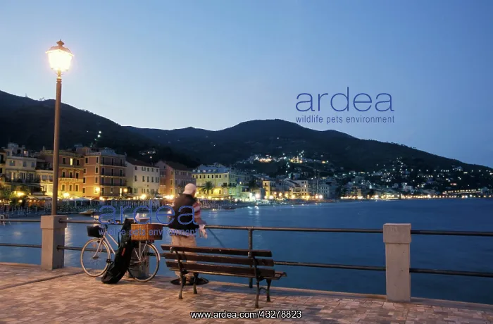 : Angler on pier at dusk, Alassio, Liguria, Riviera : Angler on pier at dusk, Alassio, Liguria, Riviera