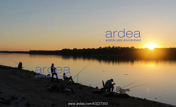 : Anglers on the banks of the Danube at sunset : Anglers on the banks of the Danube at sunset