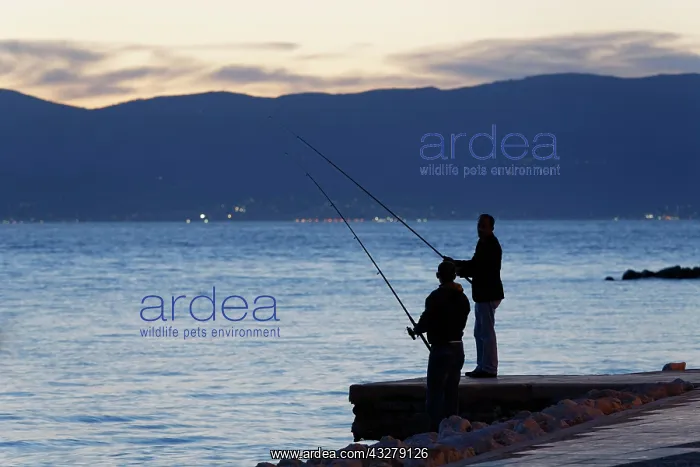 : Anglers at dusk, &, x1e5;?me, &, x1e5;?me Peninsula : Anglers at dusk, &, x1e5;?me, &, x1e5;?me Peninsula
